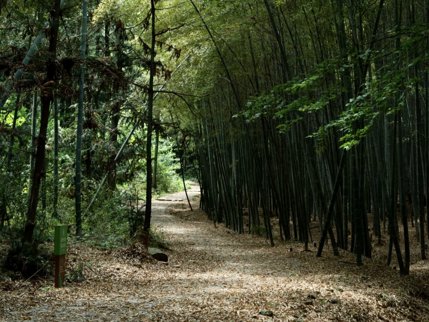 Xiaoshao Ancient Road Symphony with Blue 3